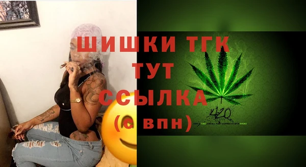 молекула духа Белоозёрский