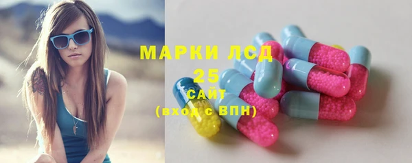 соль ск Белокуриха