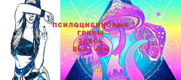 молекула духа Белоозёрский