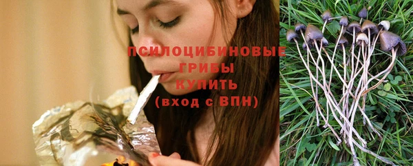 соль ск Белокуриха