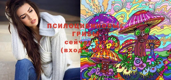 молекула духа Белоозёрский