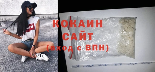 молекула духа Белоозёрский