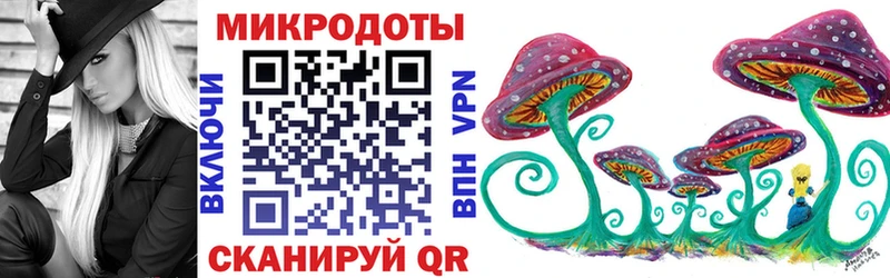 купить  цена  Белинский  Псилоцибиновые грибы GOLDEN TEACHER 